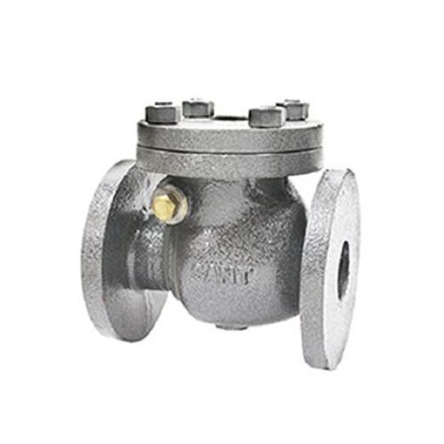 Sant Cast Iron Swing Check Valve Renewable Disc 200 mm, CI 3C